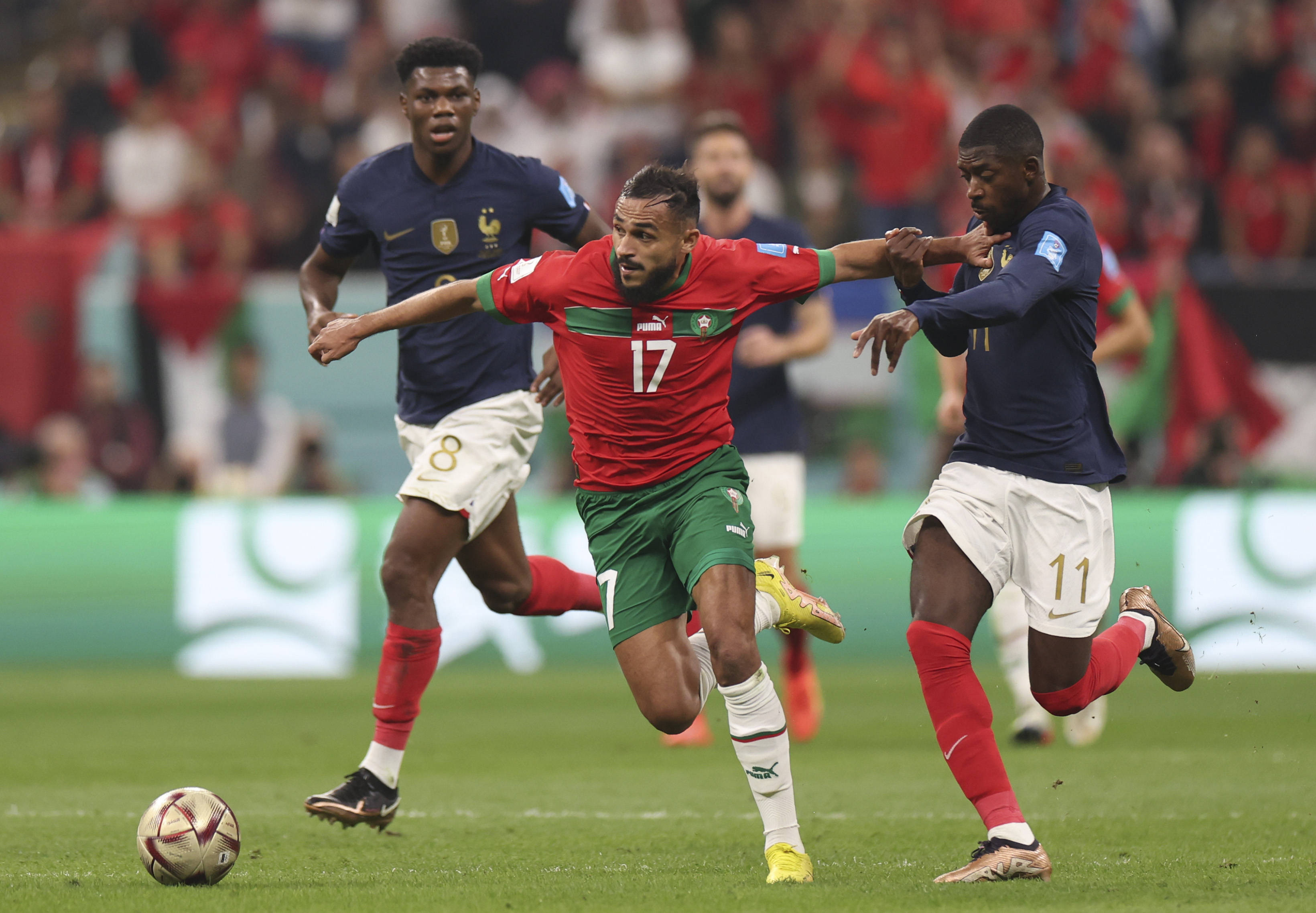 了更多的期 了更多的期