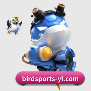小鸟体育 APP